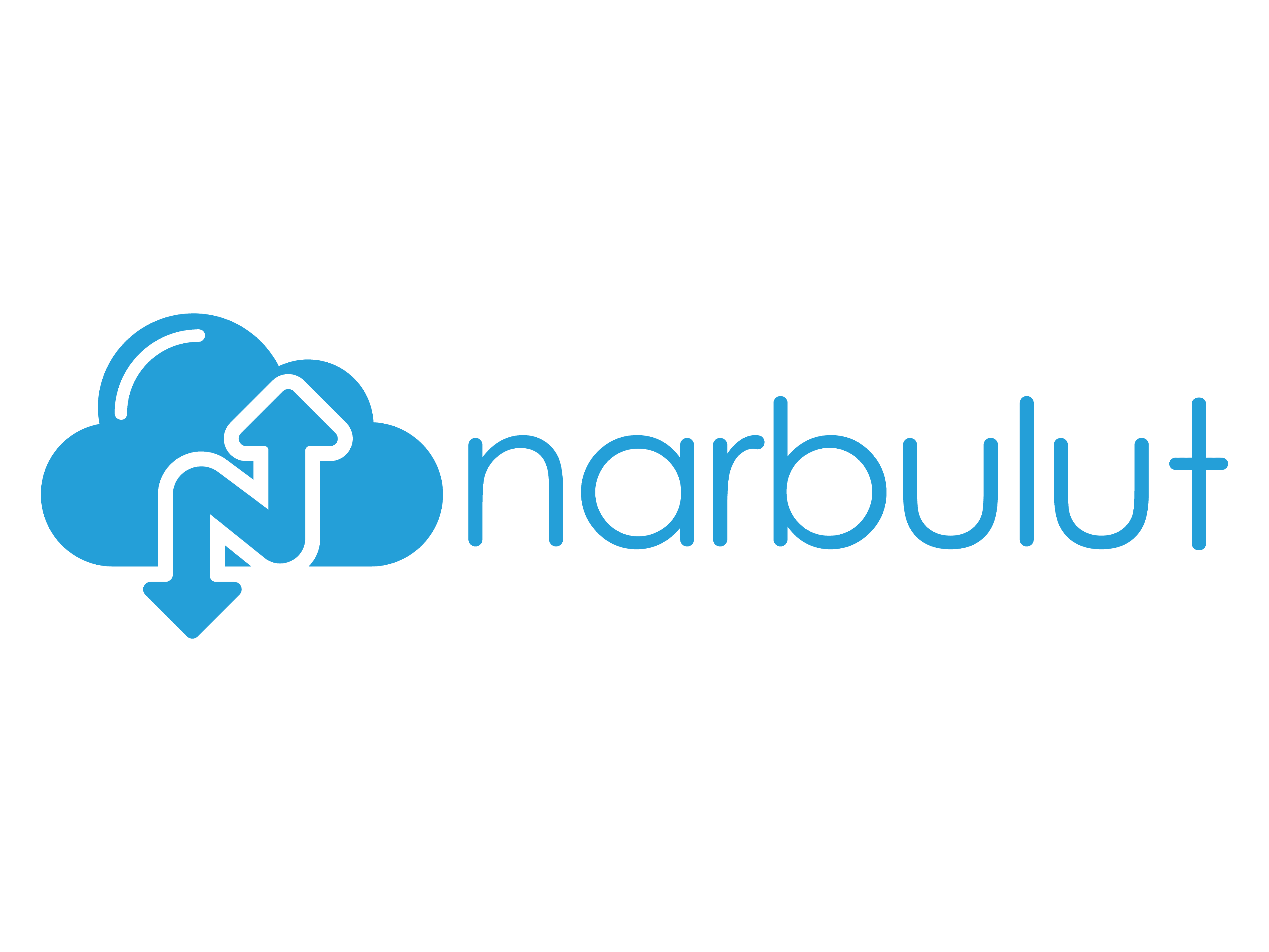 Narbulut Yedekleme